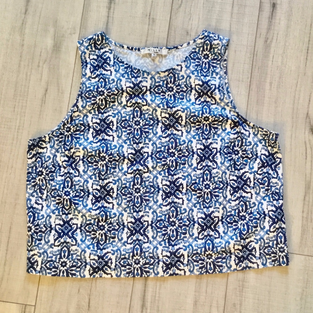 Milly Blue & White Paisley Sleeveless Crop Top